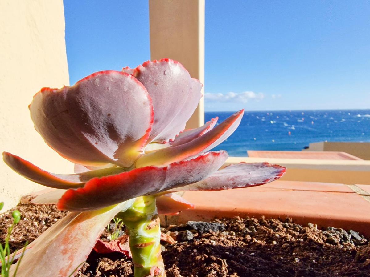 Medano4You The Ocean Terrace Penthouse El Médano Eksteriør bilde